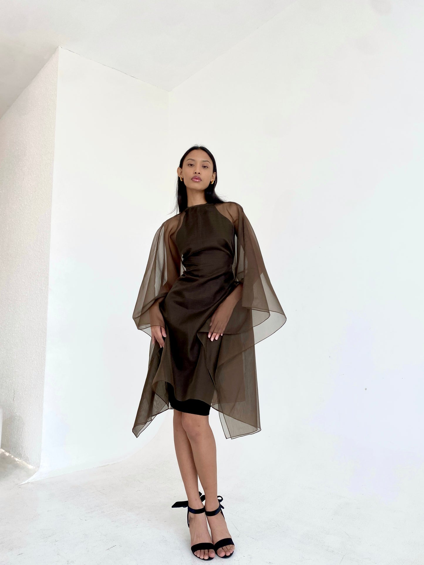 Silk Organza Dress in Cocoa | ships Sep 30 - Oct 10