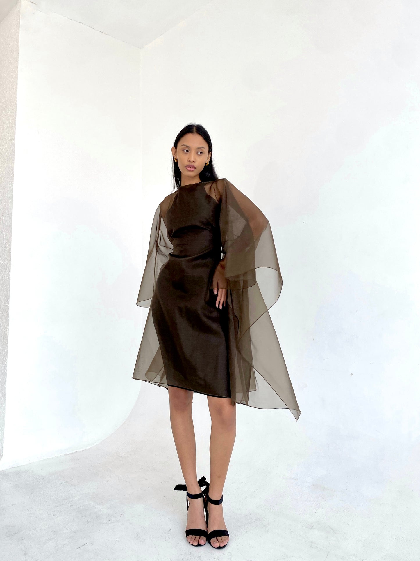 Silk Organza Dress in Cocoa | ships Sep 30 - Oct 10